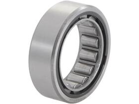 Api Pdl 55mgyq Front Manual Trans Countershaft Bearing Fits Gmc C15 1978