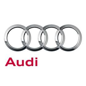 Audi 0a2-311-445 Genuine Manual Transmission Input Shaft Bearing