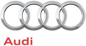 Audi 1k0-711-789-g Genuine Support