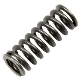 Sg-1078 Bert Transmissions Transmission - Piston Return Spring