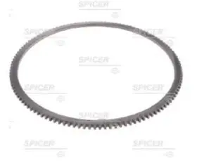 42928 Dana Spicer Anti Lock Ring 60