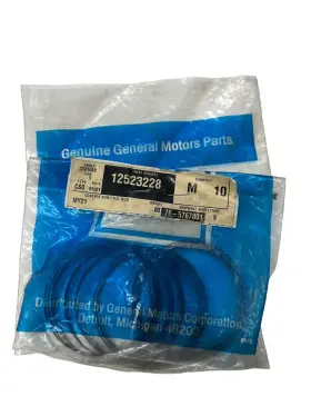 12523228 General Motors Gm Genuine Parts Manual Transmission Counter Shaft Bearing Shim Qty 10
