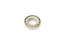 999-110-192-00 Ina/schaeffler 99911019200 Pinion Shaft Nose Bearing-ina