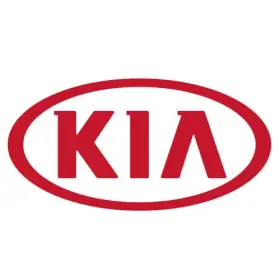43255-34060 Kia Genuine Bearing Needle Rolle