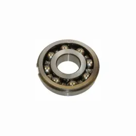 6017-nrj Skf Bearing