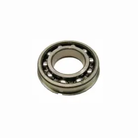 6306-znbrj Skf Bearing