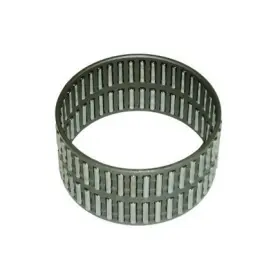 F95407 Skf Needle Bearing