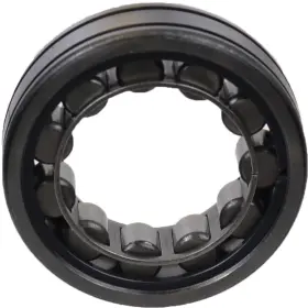 M1305ggtv1 Skf Manual Transmission Countershaft Bearing