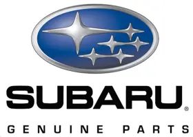 806735210 Subaru Transfer Case Output Shaft Seal/seal