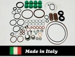 Roosa Master Stanadyne Seal Kit 24371 For Dbg/jdb/dc/ Diesel Injection Pumps New. Price: $49.00.