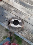 Chevrolet Gm 10 1/2" Nova Camaro Chevelle 3858403 Used. Price: $90.00.
