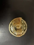 Cooper & MG1100 Transmission Bearing 22G-460 New. Price: $79.96.