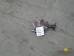 2013 Mazda CX-5 4X4 Transfer Case Used. Price: $300.00.
