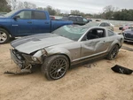 28K Mile Mustang Manual Mt Transmission 6 Speed 5.4L Supercharged 07 08 09 Oem Used. Price: $2534.99.