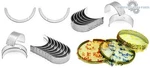 90-01 Acura Integra 1.8L B18A1 B18B1 Dohc Main Rod Bearings Thrust Washers New. Price: $79.95.
