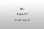 Whiteline KDT967 Gearbox - Mount Bushing New. Price: $46.99.
