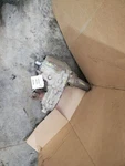 Transfer Case 5.7L Manual Transmission Fits 95-00 Chevrolet 2500 Pickup 308192 Used. Price: $862.50.
