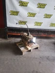 Manual Transmission Case #591953 Fits 1956 Chevrolet Ton Truck 1268305 Used. Price: $200.00.