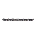 New Camshaft 66 67 68 69 Pontiac 230 250 Ohc 6-CYLINDER With 4-BBL Carburetor. Price: $379.99.
