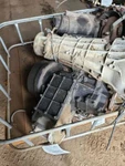 Transfer Case Discovery Automatic Transmission Fits 99-02 Land Rover 1520548 Used. Price: $409.77.