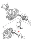 Genuine Vw Audi Skoda Seat Beetle Cabrio Bettle Bora Flanged Shaft 02M409343D New. Price: $322.07.